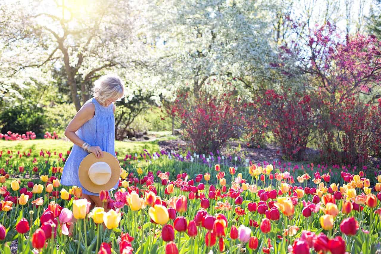 De beste blomstene for å tiltrekke sommerfugler